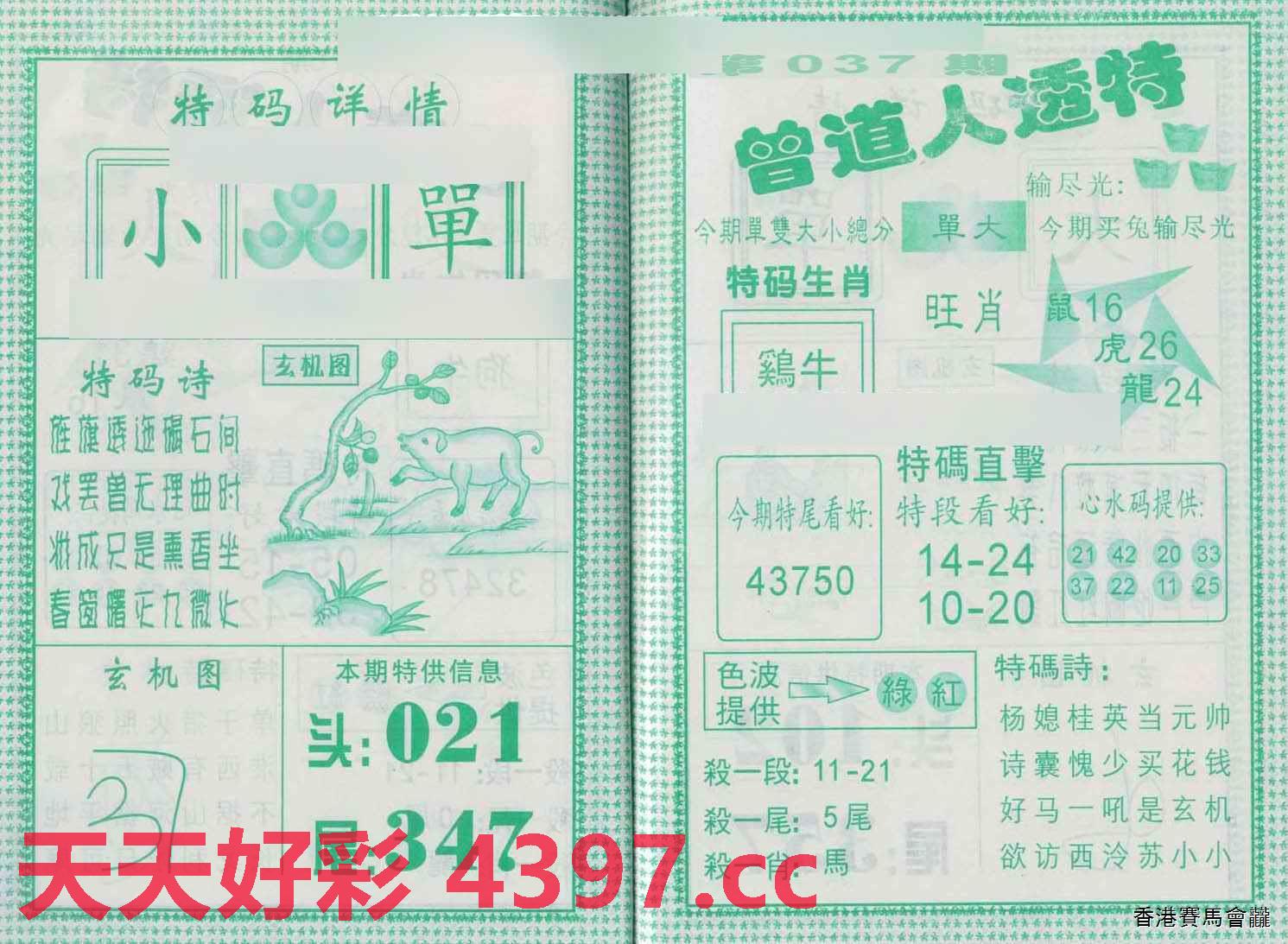 2025新澳门今晚特码买什么,全面释义、解释与落实与警惕虚假宣传