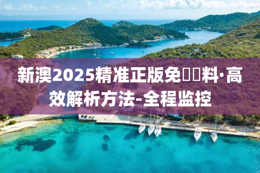 2025新澳精准正版免費資料与警惕虚假宣传-全面释义、解释与落实